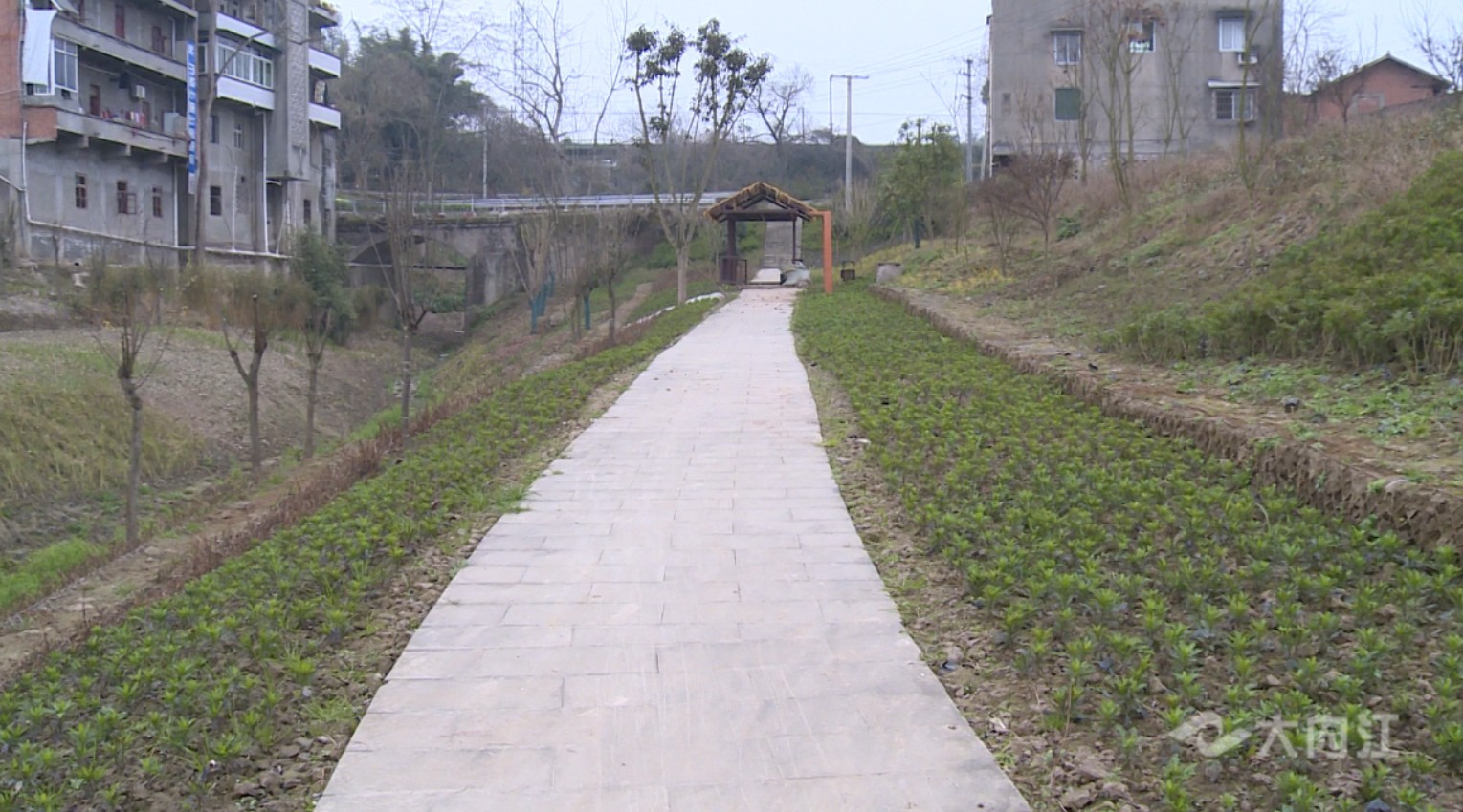 游步道.jpg