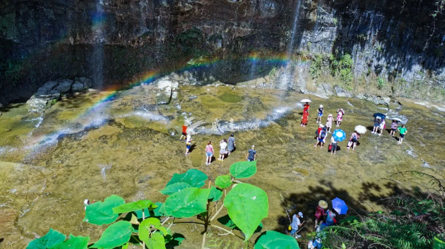微信圖片_20210204112405.png