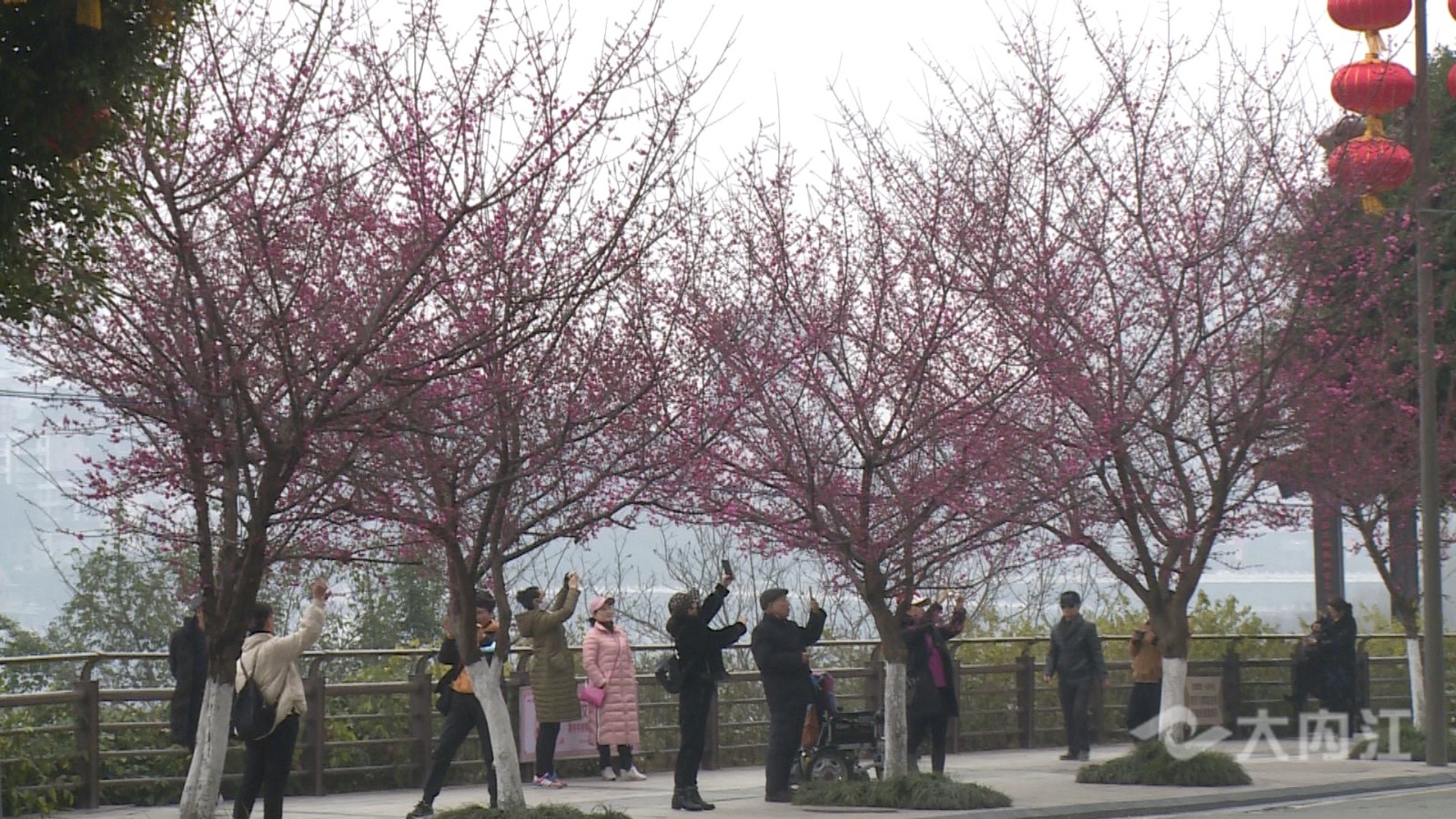 QQ圖片20210204115352.jpg
