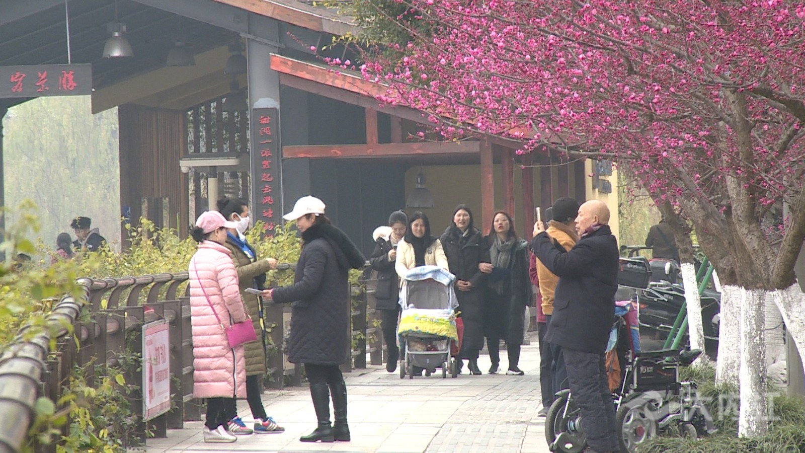QQ圖片20210204115358.jpg