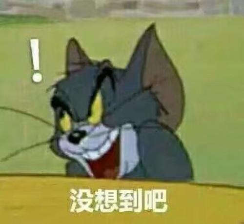 沒想到吧.jpg