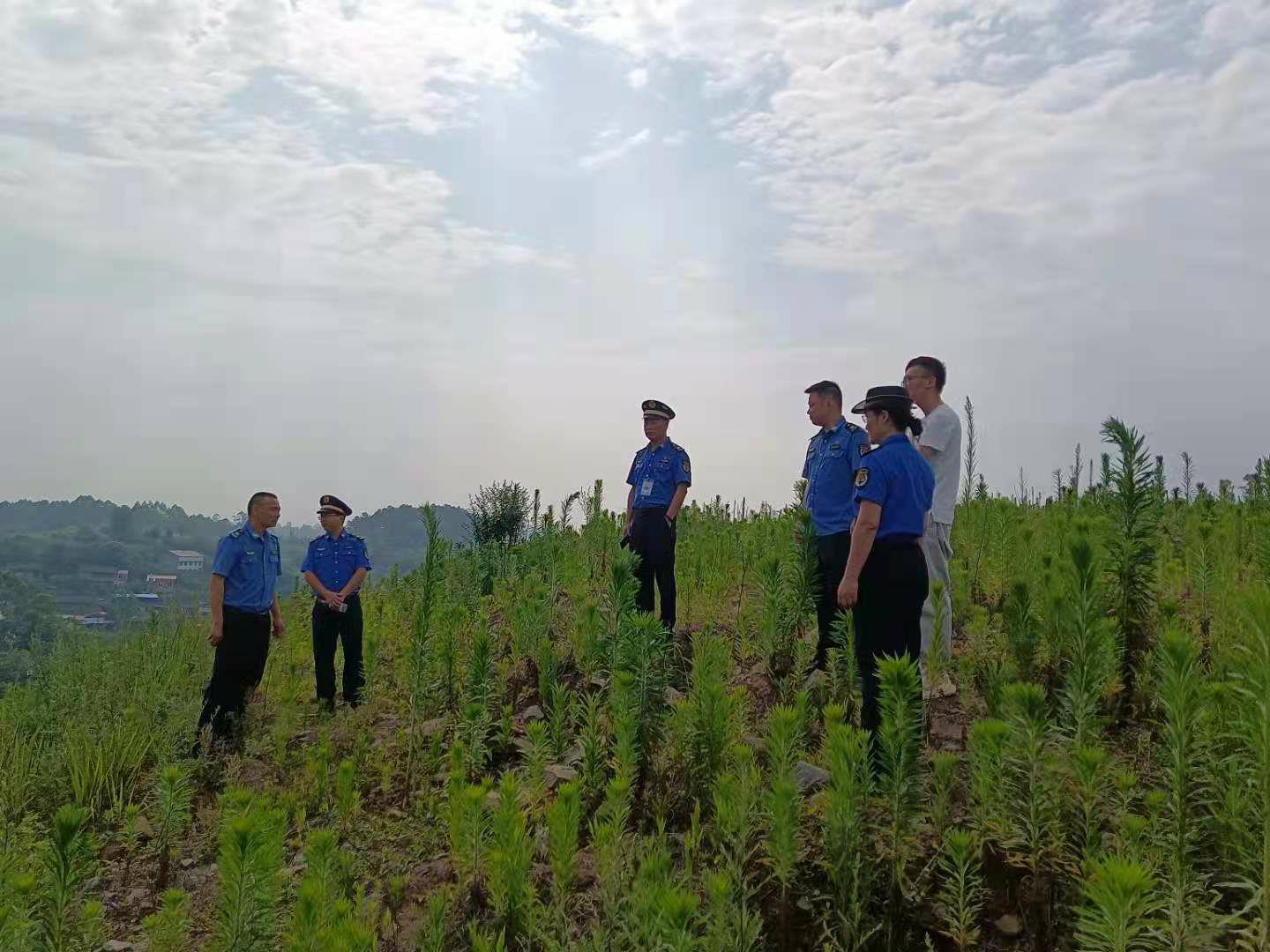 福特翼虎哪所大學2.jpg