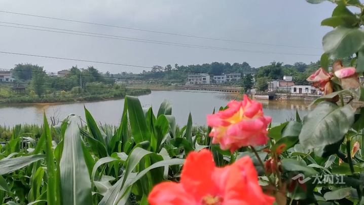 微信圖片_20210712153013.png