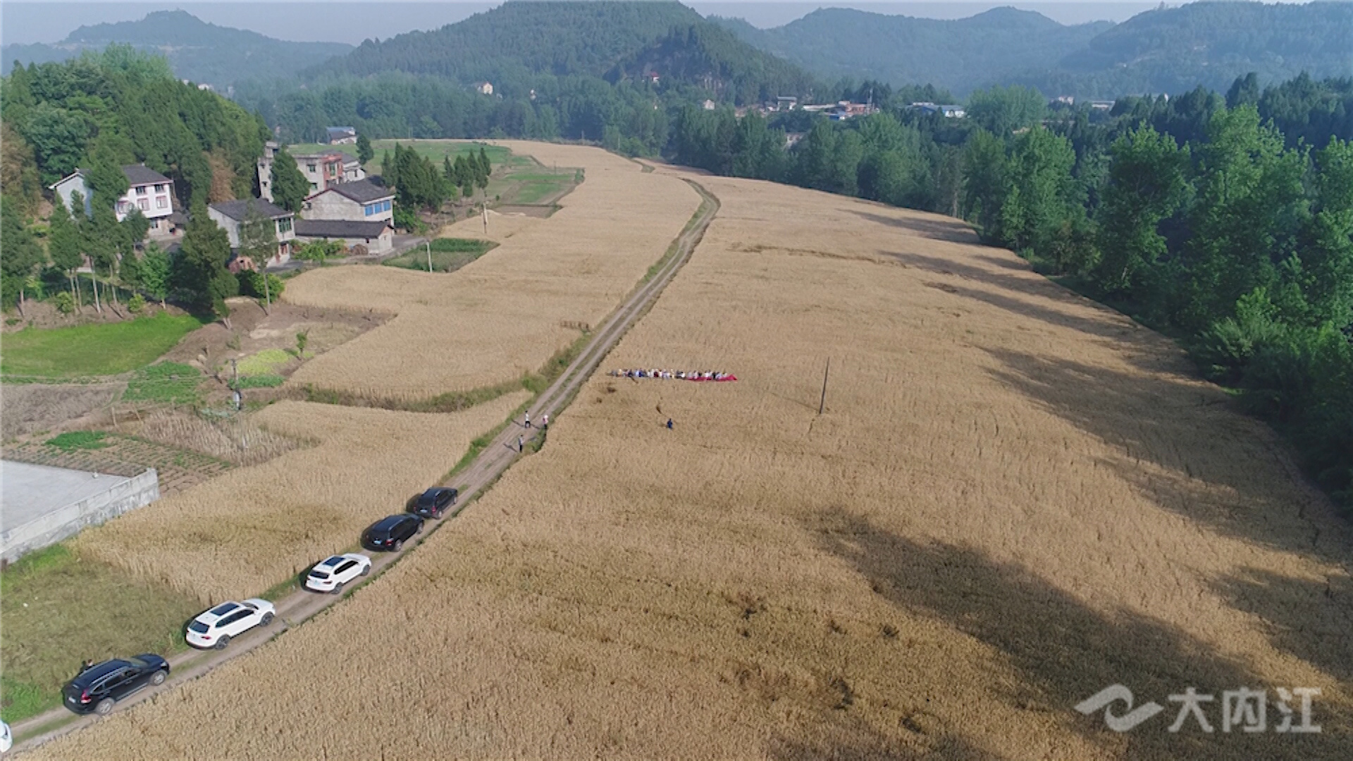 G.00_00_23_23.靜止025.jpg