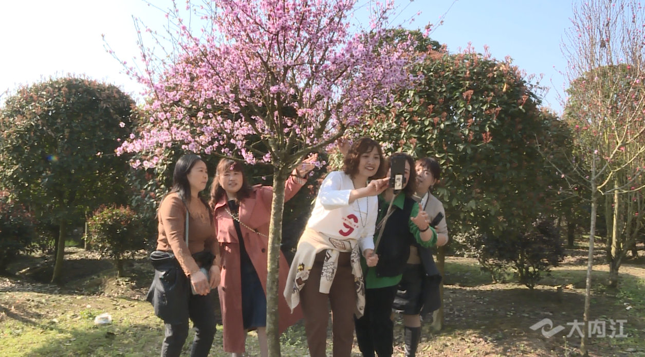 微信圖片_20220309093618_副本.png