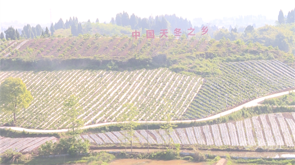 286033_1650593259803367.png 九三學(xué)社1.png