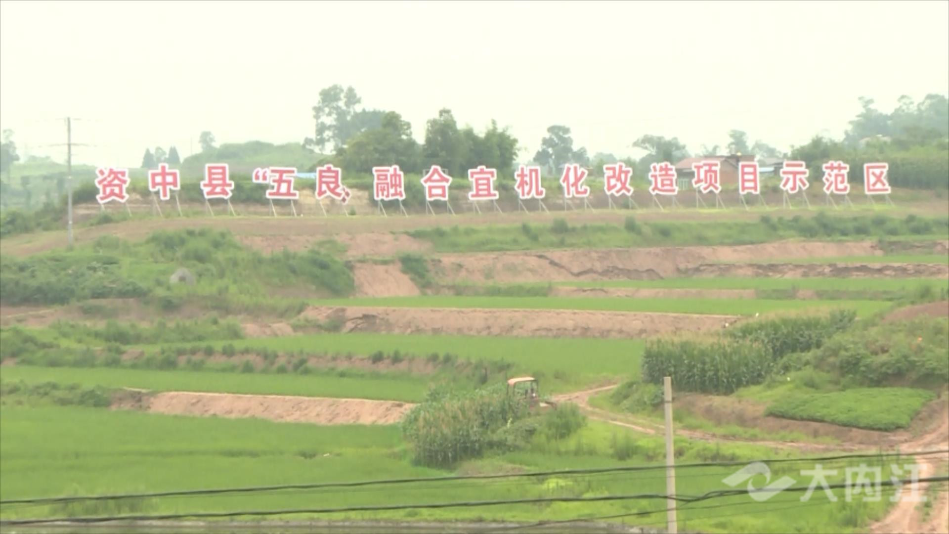 揭榜掛帥資中.mp4_20220630_200118113.jpg